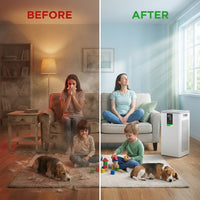 2024 Best Selling Voice Control Portable Electrical Air Purifier Cleaner Smart Air Purifier with HEPA Filter — Before & After